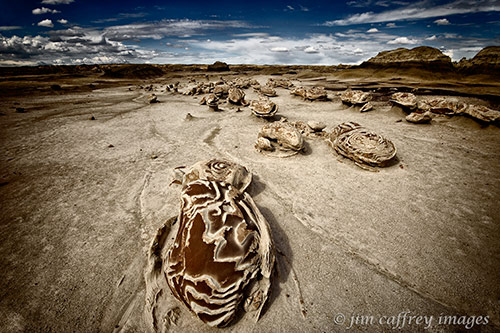 Unusual, eroded rock formation in the Egg Garden section of the Bisti Wilderness